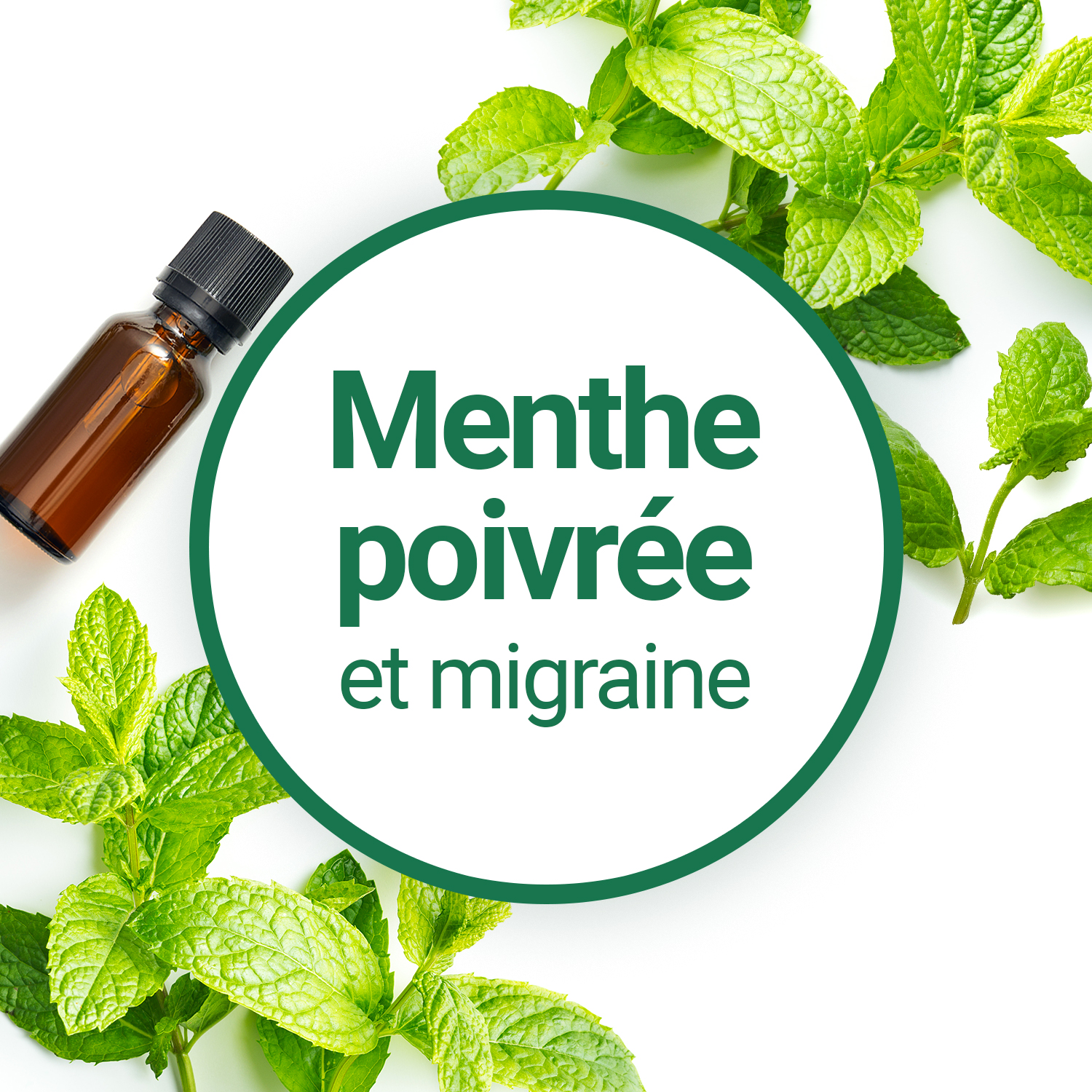 https://www.compagnie-des-sens.fr/img/cmscover/187/menthe-poivree-cocon-et-migraine.jpg