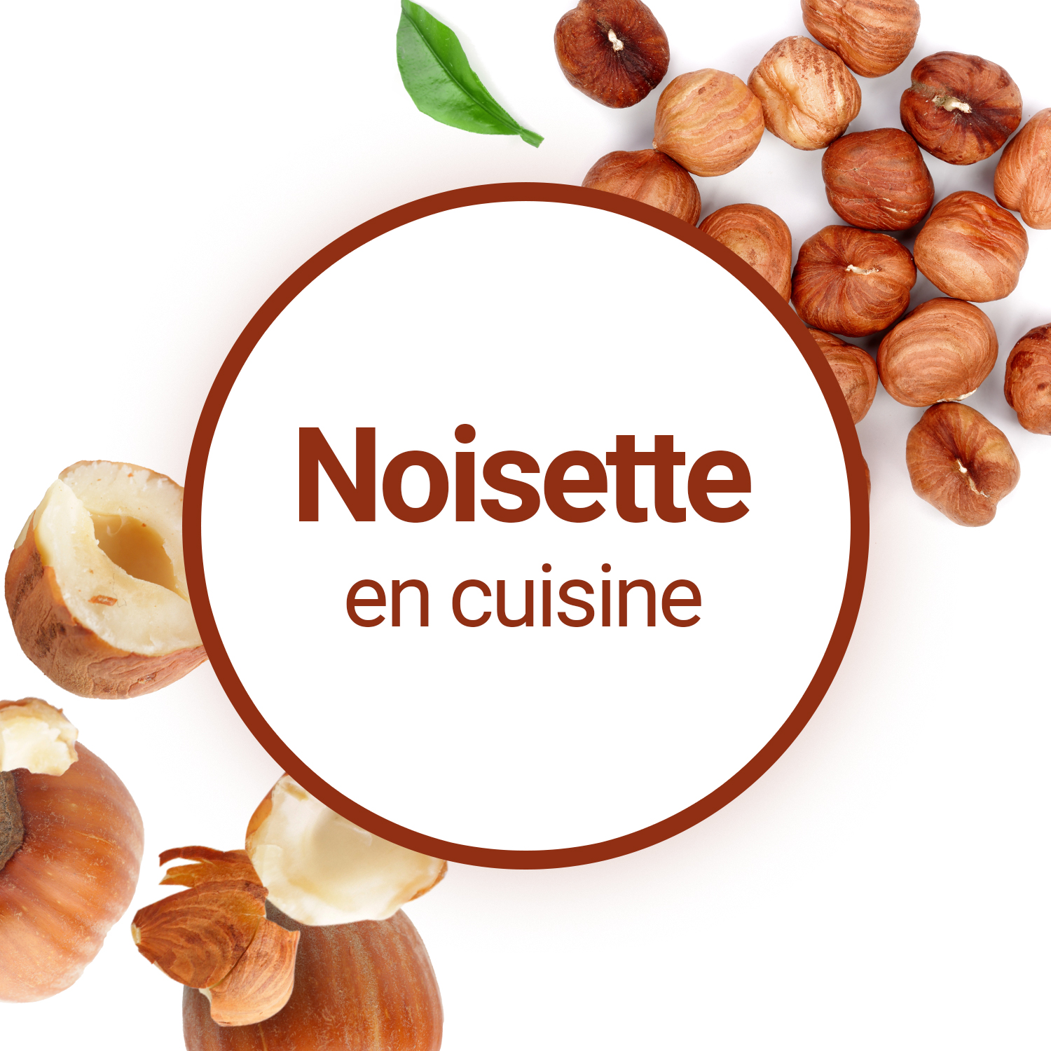 Noisette : apports nutritionnels, bienfaits, composition