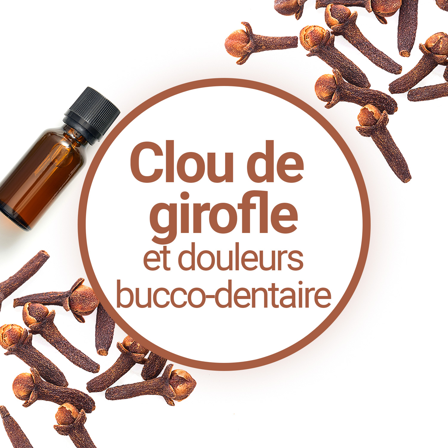 L'huile essentielle de Clou de Girofle pour soulager les douleurs  bucco-dentaires