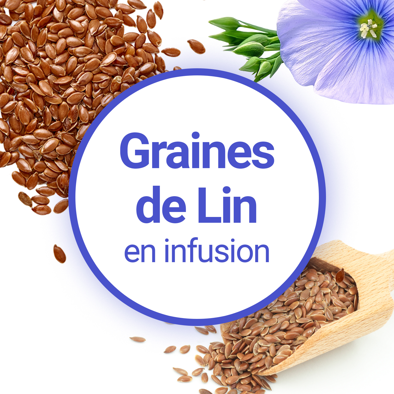 Graines de lin - Acheter, bienfaits et recettes