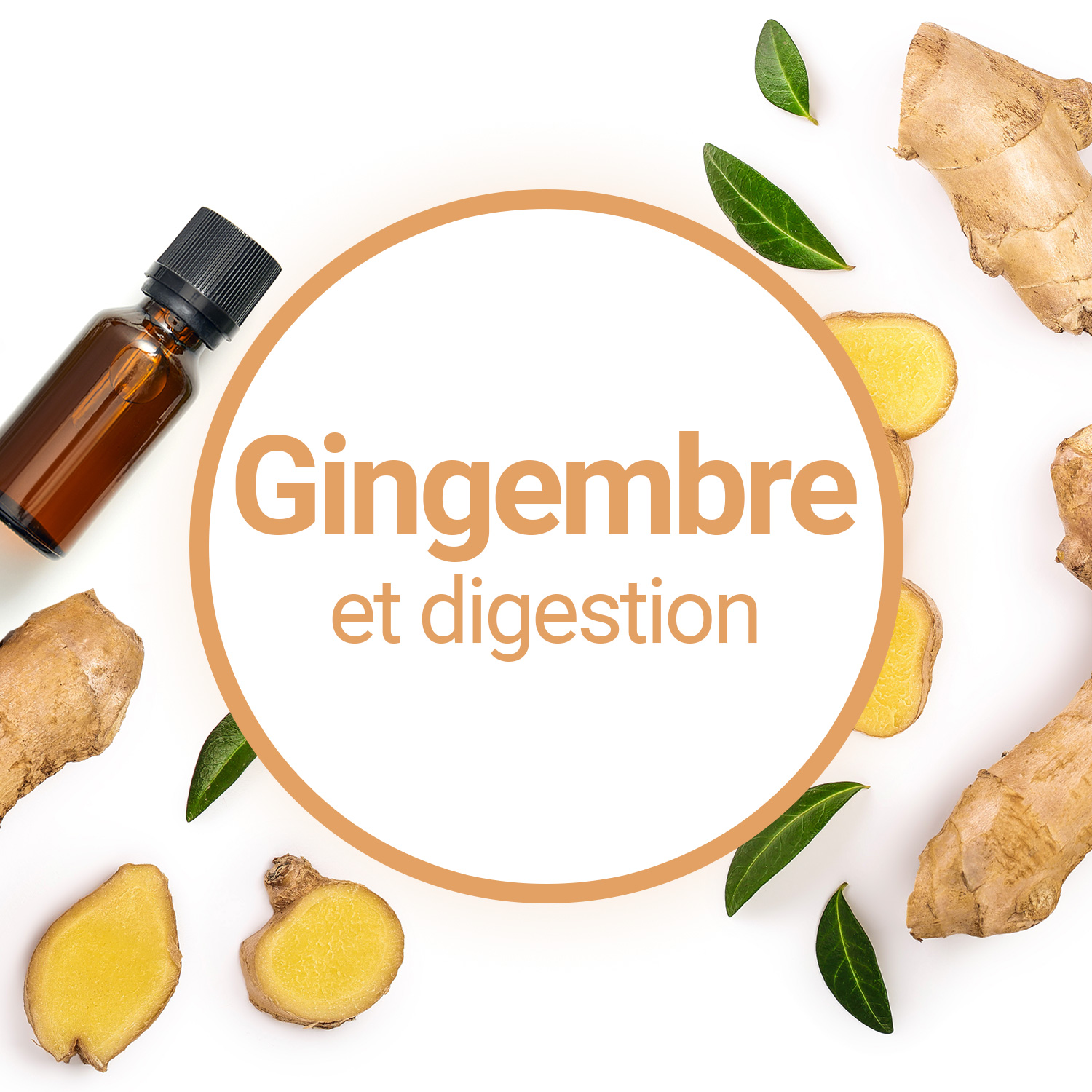 Miel et gingembre Bio, préparation pour la digestion